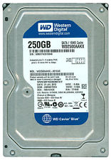 Hard Disk WD 250GB SATA II 7200 RPM 16MB